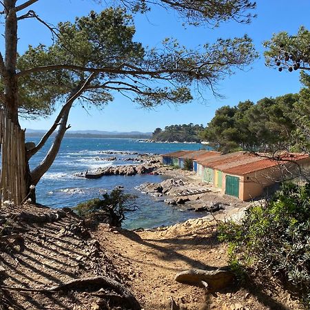 Villa Lou Gecko Hyères Dış mekan fotoğraf