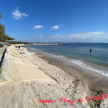 Villa Lou Gecko Hyères Dış mekan fotoğraf