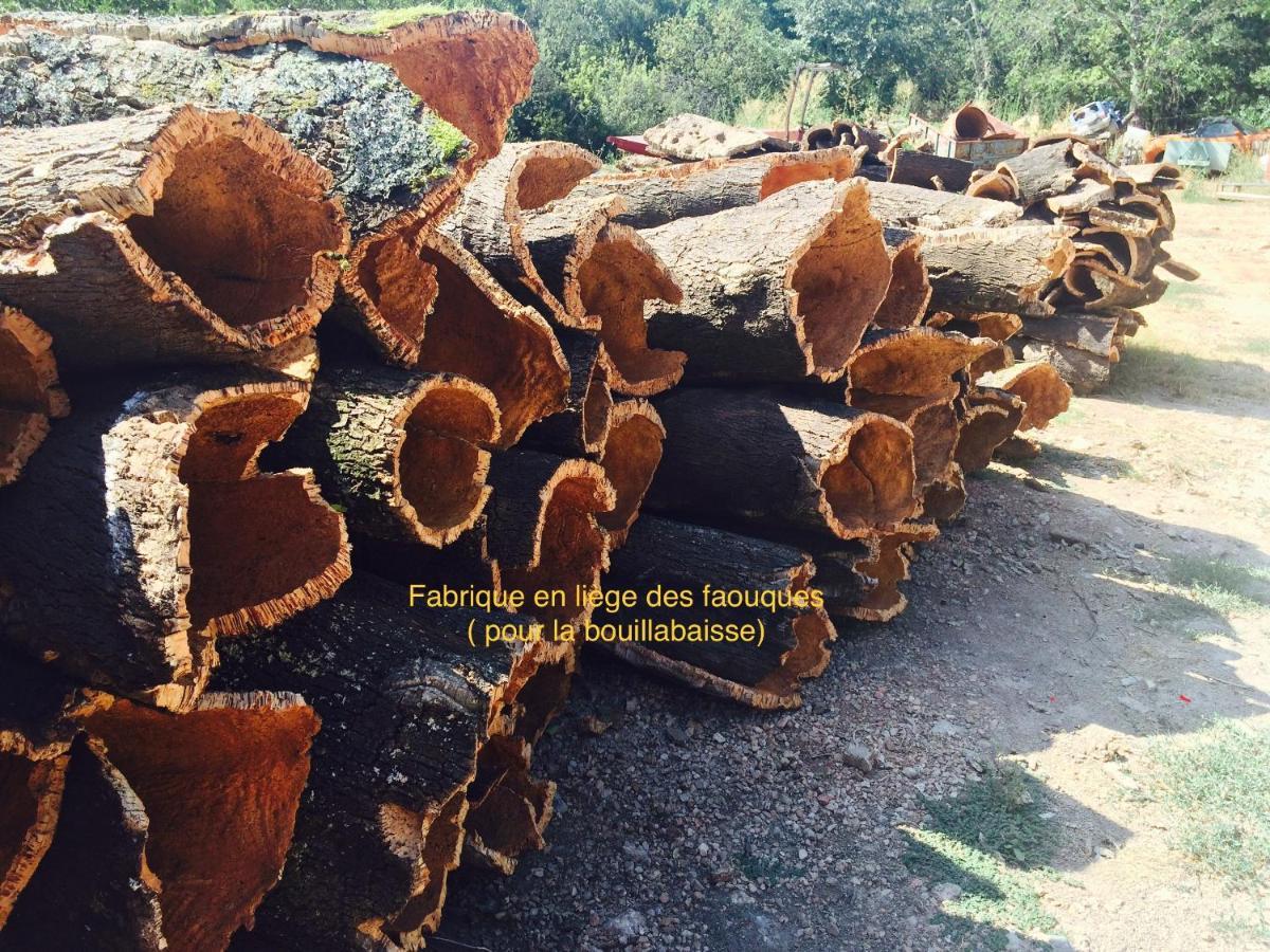 Villa Lou Gecko Hyères Dış mekan fotoğraf