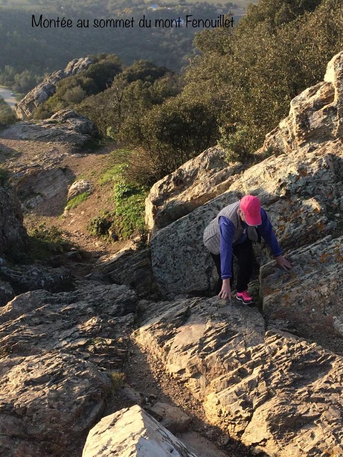 Villa Lou Gecko Hyères Dış mekan fotoğraf