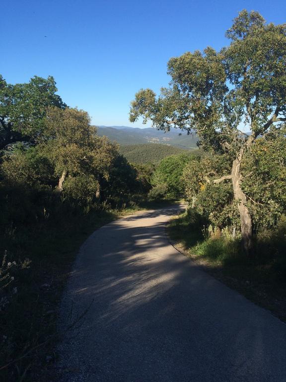 Villa Lou Gecko Hyères Dış mekan fotoğraf
